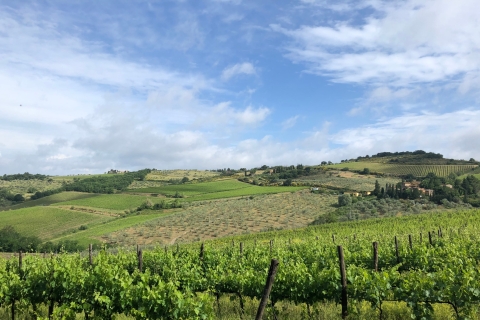 Florence: Tuscany & Chianti Classico Trek & Wine with Lunch Small-Group Experience