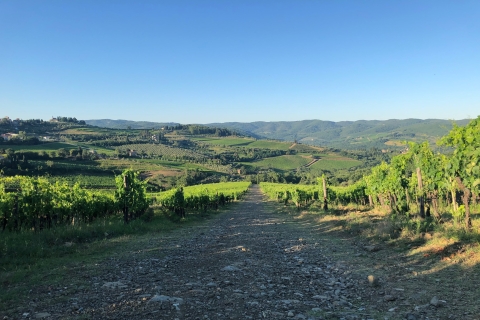 Florencja: Toskania i Chianti Classico Trek & Wine z lunchemW pełni prywatne doświadczenie