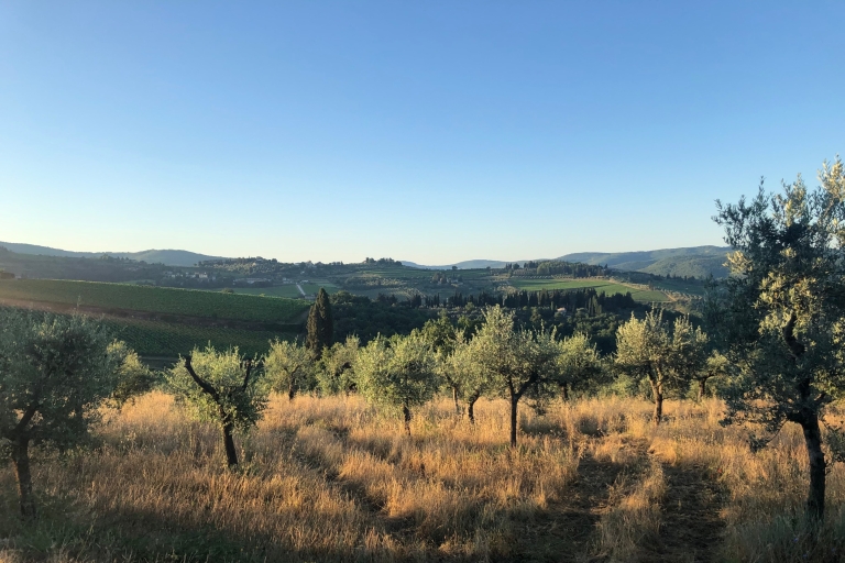 Florencia: Toscana y Chianti Classico Trek & Wine con almuerzoExperiencia totalmente privada