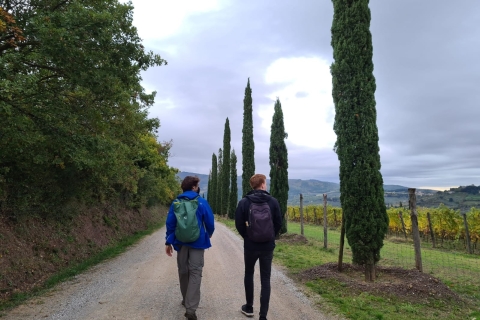 Florence: Toscane & Chianti Classico Trek & wijn met lunchVolledig privé-ervaring