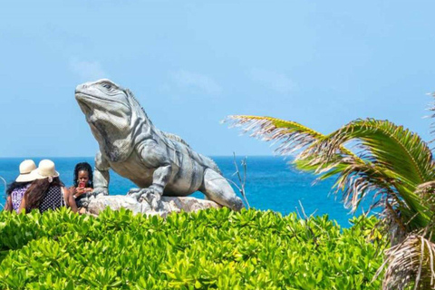 From Cancun: Isla Mujeres Ferry Trip with Buffet Lunch