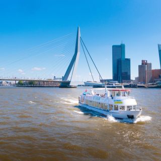 Rotterdam: crociera guidata sul fiume Maas