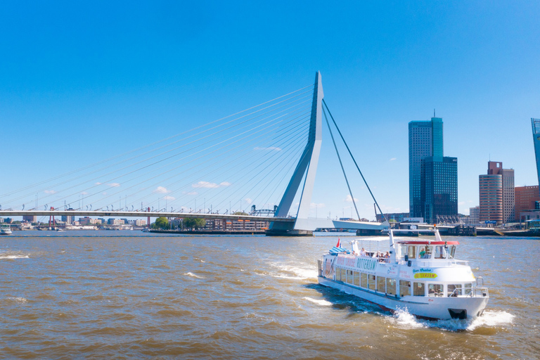 Rotterdam : Croisière dans le port avec guideCroisière avec café et gâteau