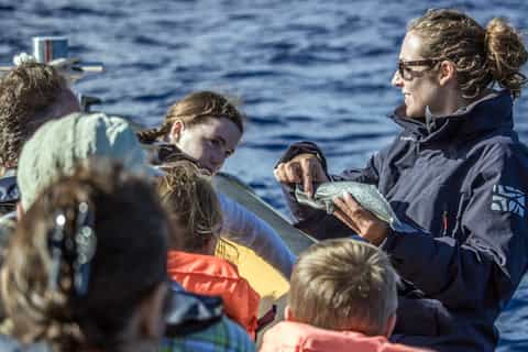 Azores: Whale Watching and Islet Boat Tour