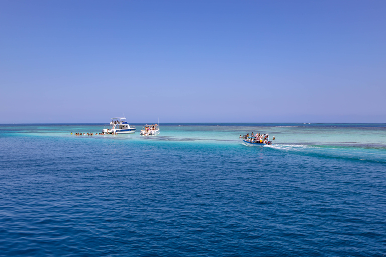 Au départ de Puerto Plata : Voyage privé en catamaran à Cayo Arena et déjeunerAu départ de Puerto Plata : Voyage en catamaran privé et déjeuner à Cayo Arena