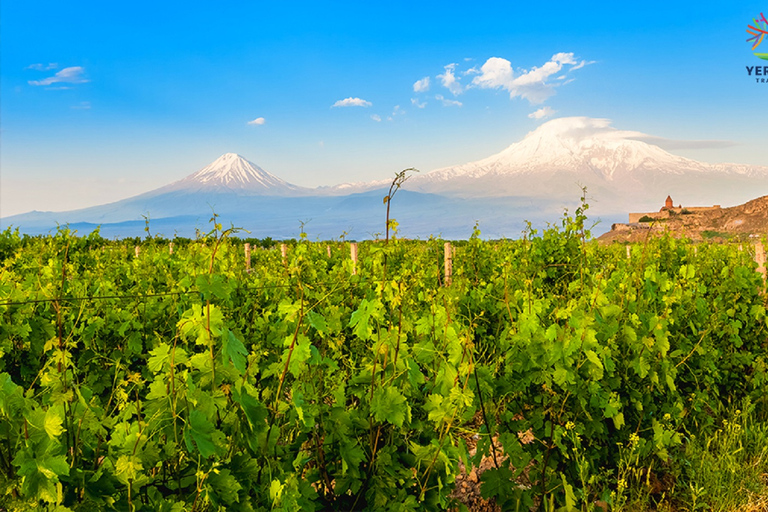 Depuis Erevan : Excursion d'une journée à Khorvirap, Noravank et Areni WineryAu départ d'Erevan : Excursion d'une journée à Khorvirap, Noravank et aux vignobles Areni