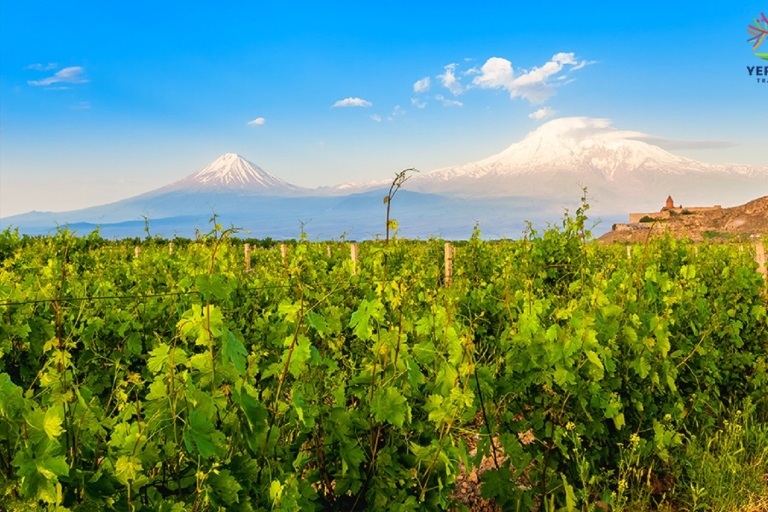 Von Eriwan aus: Gruppentour zur Seilbahn und zum Weingut Tatev