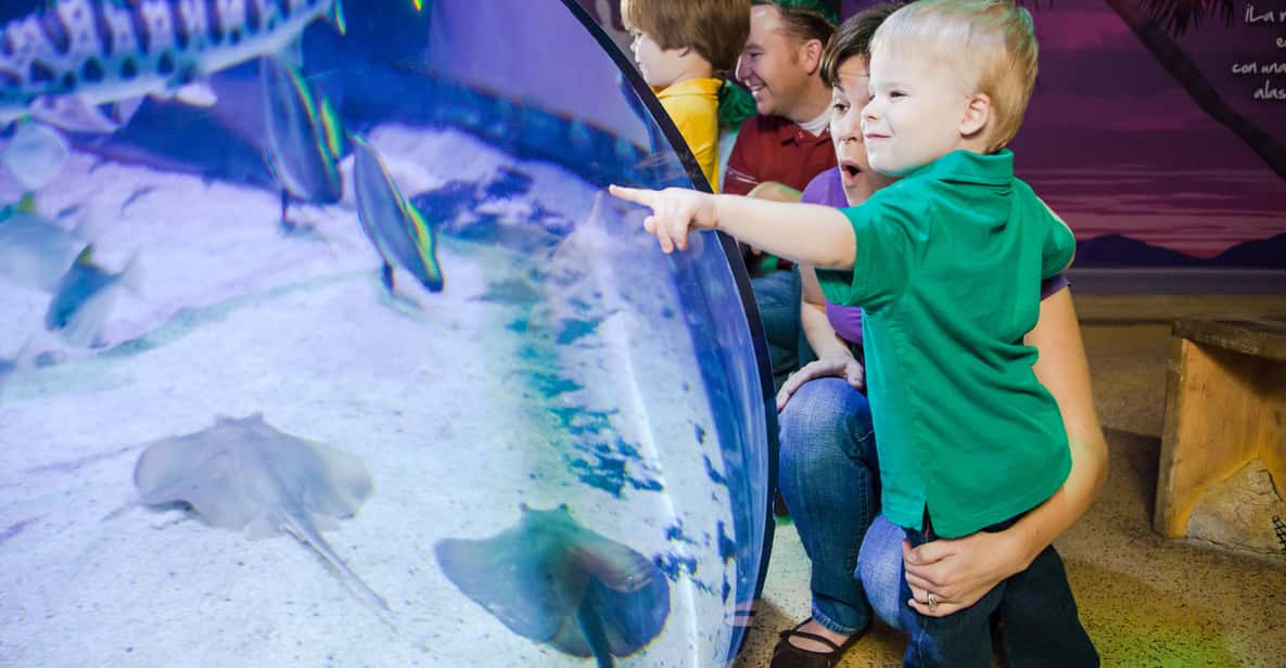 American Dream: SEA LIFE® Aquarium Entry Ticket
