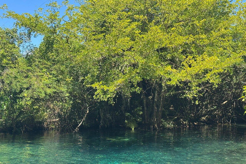 Private: Punta Cana: Animal Park, Farm, and River Adventure