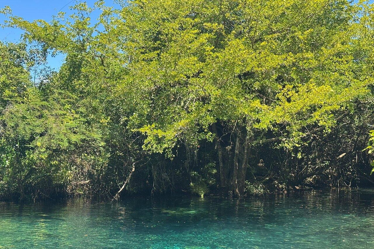 Private: Punta Cana: Animal Park, Farm, and River Adventure