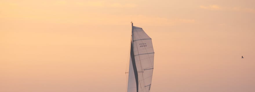 Baie de Monterey : croisière en catamaran au coucher du soleil