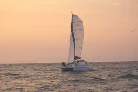 Monterey Bay: Sunset Catamaran Sailing Cruise