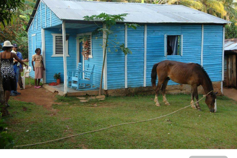 Punta Cana: Samaná Cayo Levantado & El Limón Waterfall Tour Samaná Meeting Point with Tour in Arabic