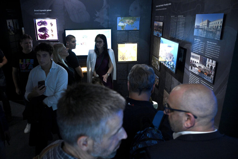 Zagreb: Walking tour, museums & Lunch