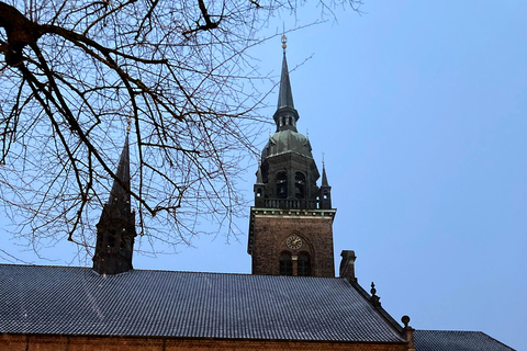 Copenaghen: Il segreto della Torre Rotonda (Rundetårn)Il Segreto della Torre Rotonda, versione in danese di Max diff.