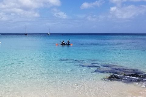 Barbados: Folkestone Coral Reef Clear Kayak Tour
