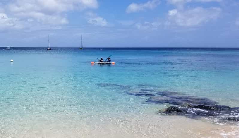 Barbados: Folkestone Coral Reef Clear Kayak Tour