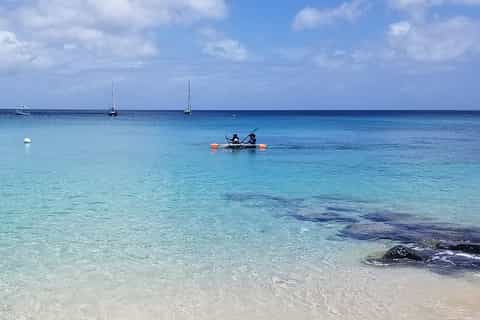 Barbados: Folkestone Coral Reef Clear Kayak Tour