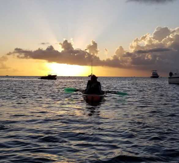 Sunset Turtle Spotting Clear Kayak Tour