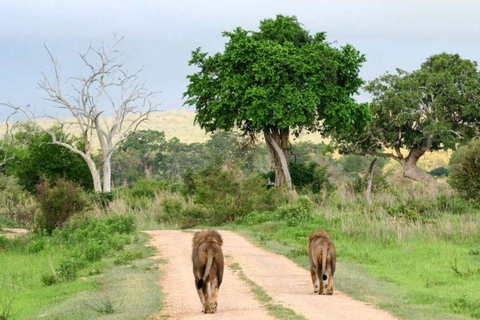 Daressalam: 5-tägige Safari im Süden