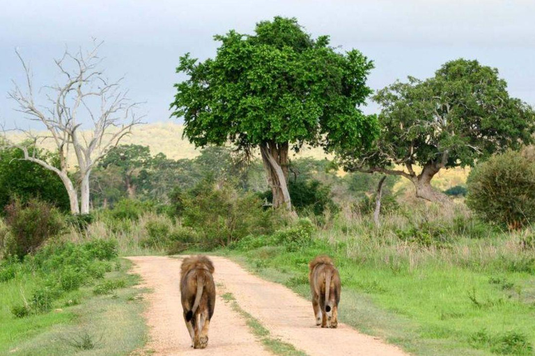 Daressalam: 5-tägige Safari im Süden