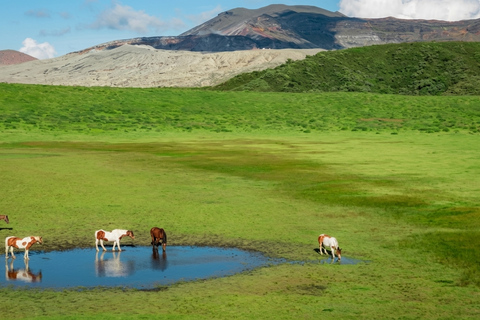 Mt. Aso & Takachiho Gorge Tour with Optional Boat Ride 7:50 AM One-day tour (including Takachiho cruise)