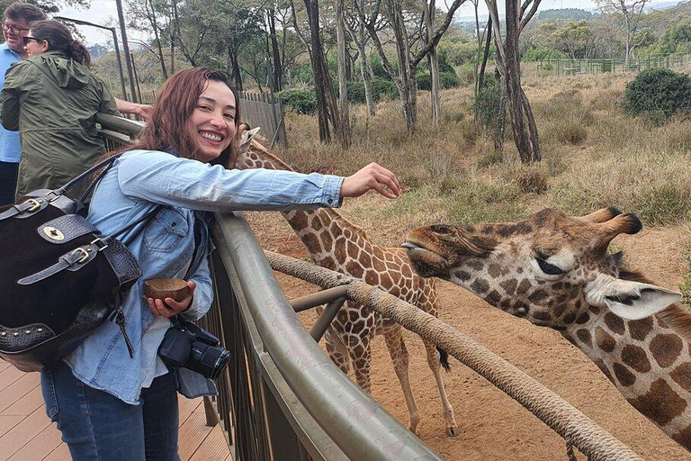 Excursion d'une journée au centre ville de la Girafe