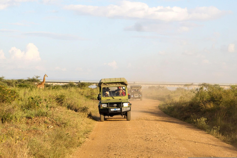 Kenya: 8-Day Safari to Amboseli, Rift Valley & Mara