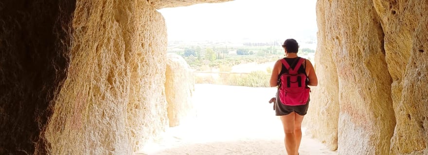 Antequera Monumental avec entrées aux dolmens et à la ville