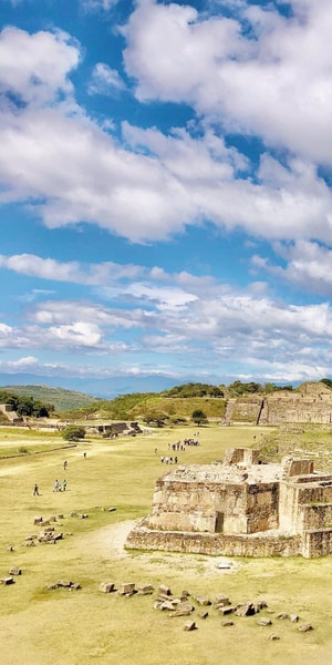 Half day tour Monte Alban - Housity