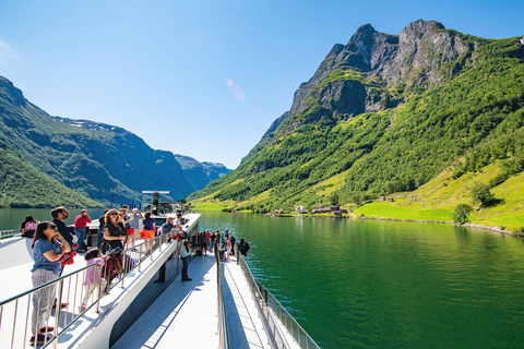 Flam Railway, Stegastein View Point and Fjord Cruise