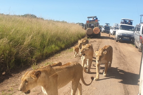 Nairobi : Safari en camping de 4 jours au Maasai Mara et au lac Nakuru4 jours de safari dans le Masai Mara et à Nakuru en groupe avec option lodge