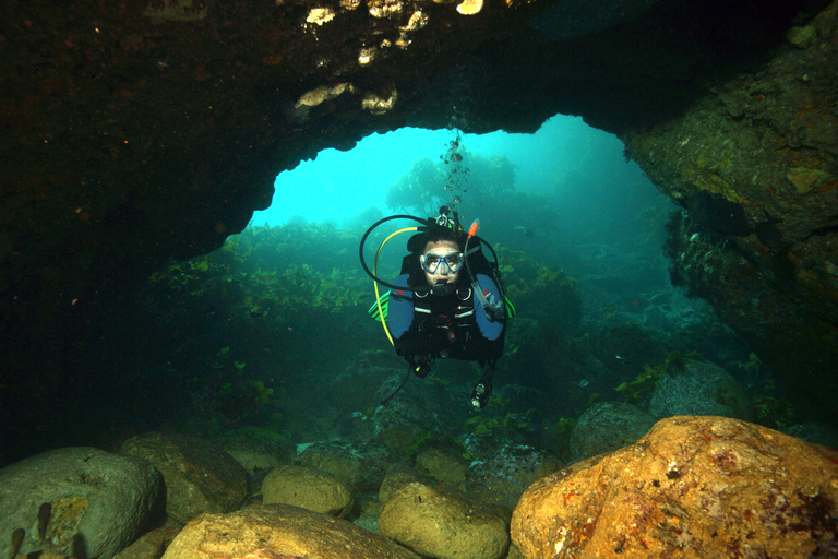 Warkworth: Full-Day Scuba Dive Charter at Hen and Chickens