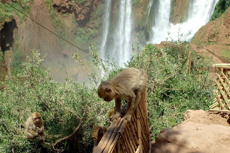 Marrakech: Ouzoud Waterfalls Guided Day Trip with Boat RideSelf Guided Tour