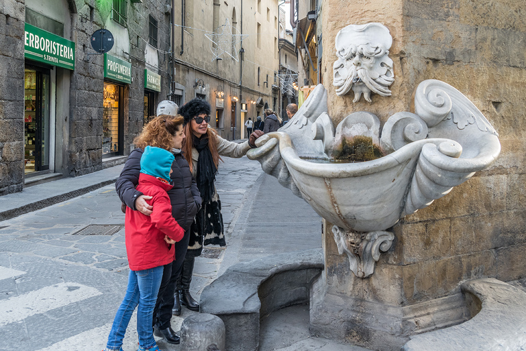 Florence: Private City Walking Tour