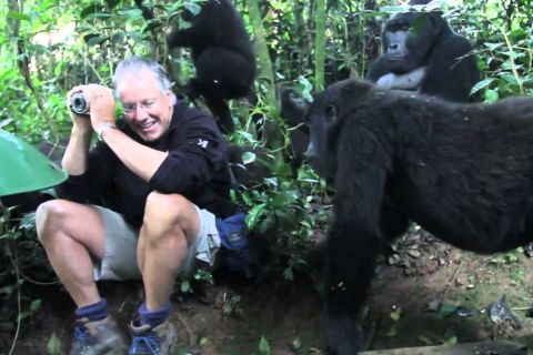 De Kigali: Gorilla Trekking Day Trip com Almoço