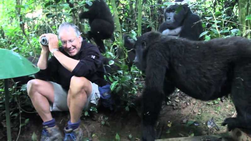 From Kigali: Gorilla Trekking Day Trip with Lunch