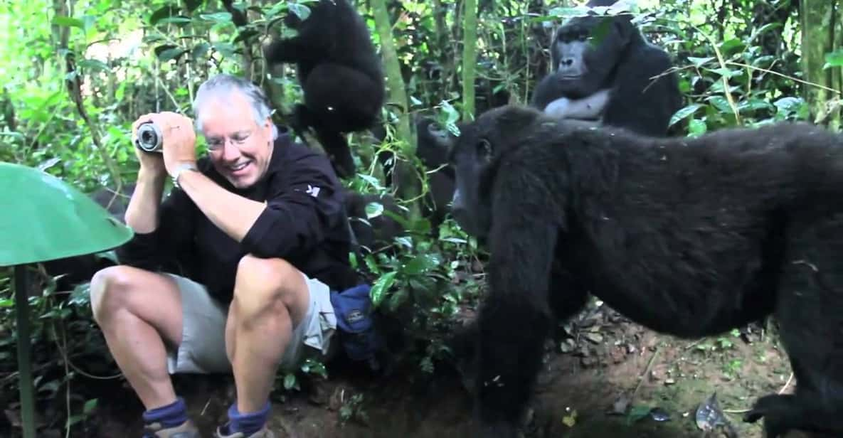 From Kigali: Gorilla Trekking Day Trip with Lunch