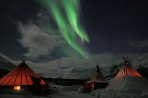 Da Tromsø: visita dell'aurora boreale al campo Tamok