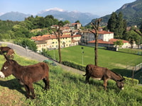 Lake Como to Lake Lugano, E-Bike Three Panoramic Lakes - Housity