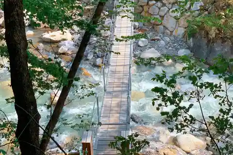 Van Bled: Halve dag Crystal River-wandeling