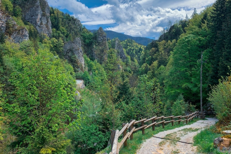 Desde Bled: caminata de medio día por Crystal RiverDesde Bled: caminata por el río Crystal