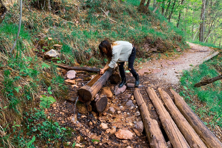 From Bled: Half-Day Crystal River Hike From Bled: Crystal River Hike