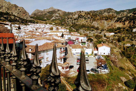 De Sevilha: Traslado Privado de Dia Inteiro para Granada via Ronda