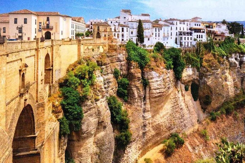 Seville: Transfer to Málaga with visit to Ronda