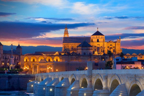 From Seville: Private Transfer to Granada and Córdoba Tour