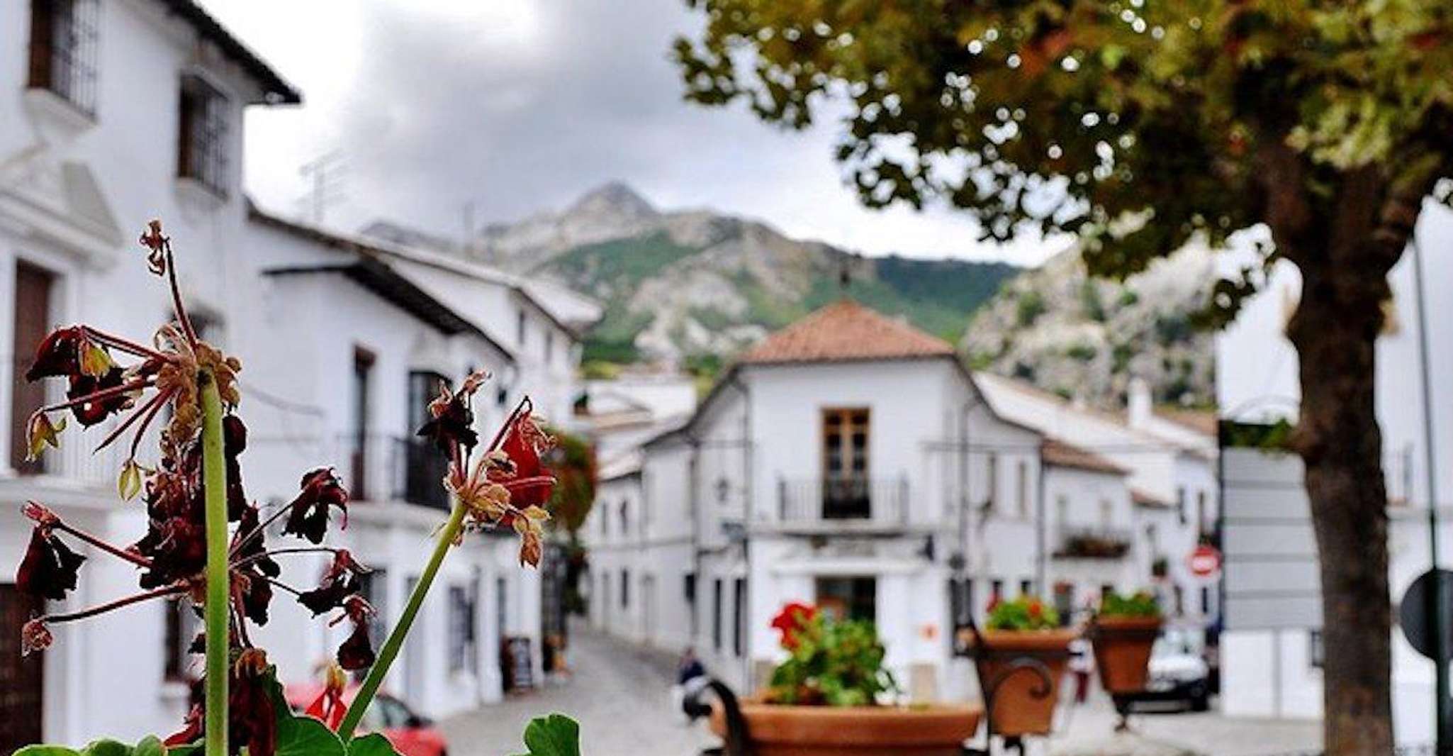 Los Pueblos de Andalucía, Excursión de un día completo desde Sevilla - Hizvo