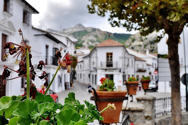 As aldeias da Andaluzia: viagem de dia inteiro saindo de SevilhaOs vilarejos da Andaluzia: Viagem de 1 dia saindo de Sevilha