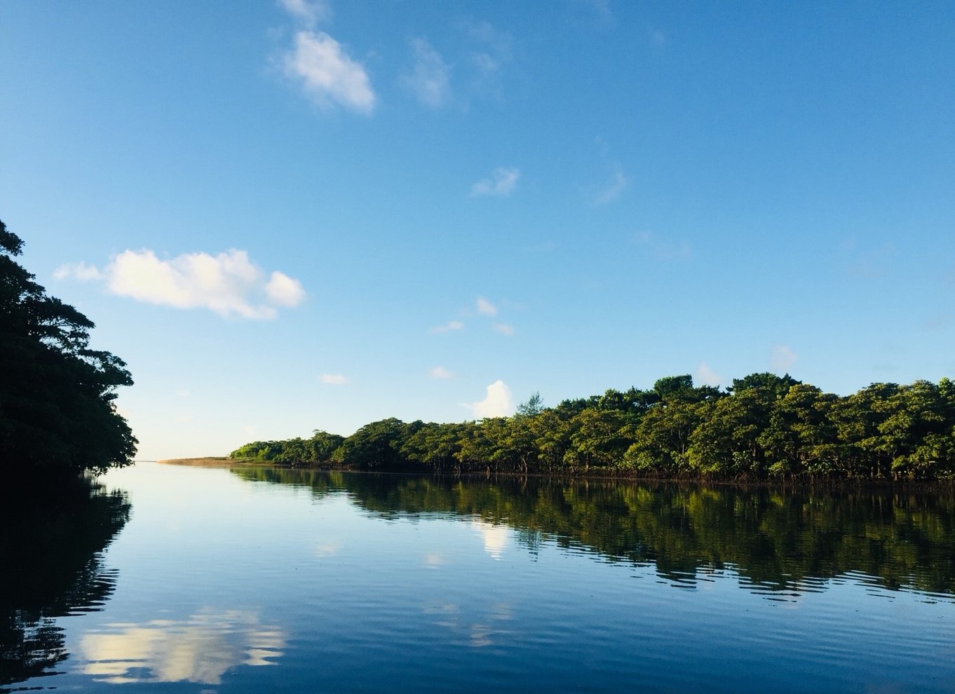 Ishigaki Island: 2-timers kajakroning i Miyara-floden