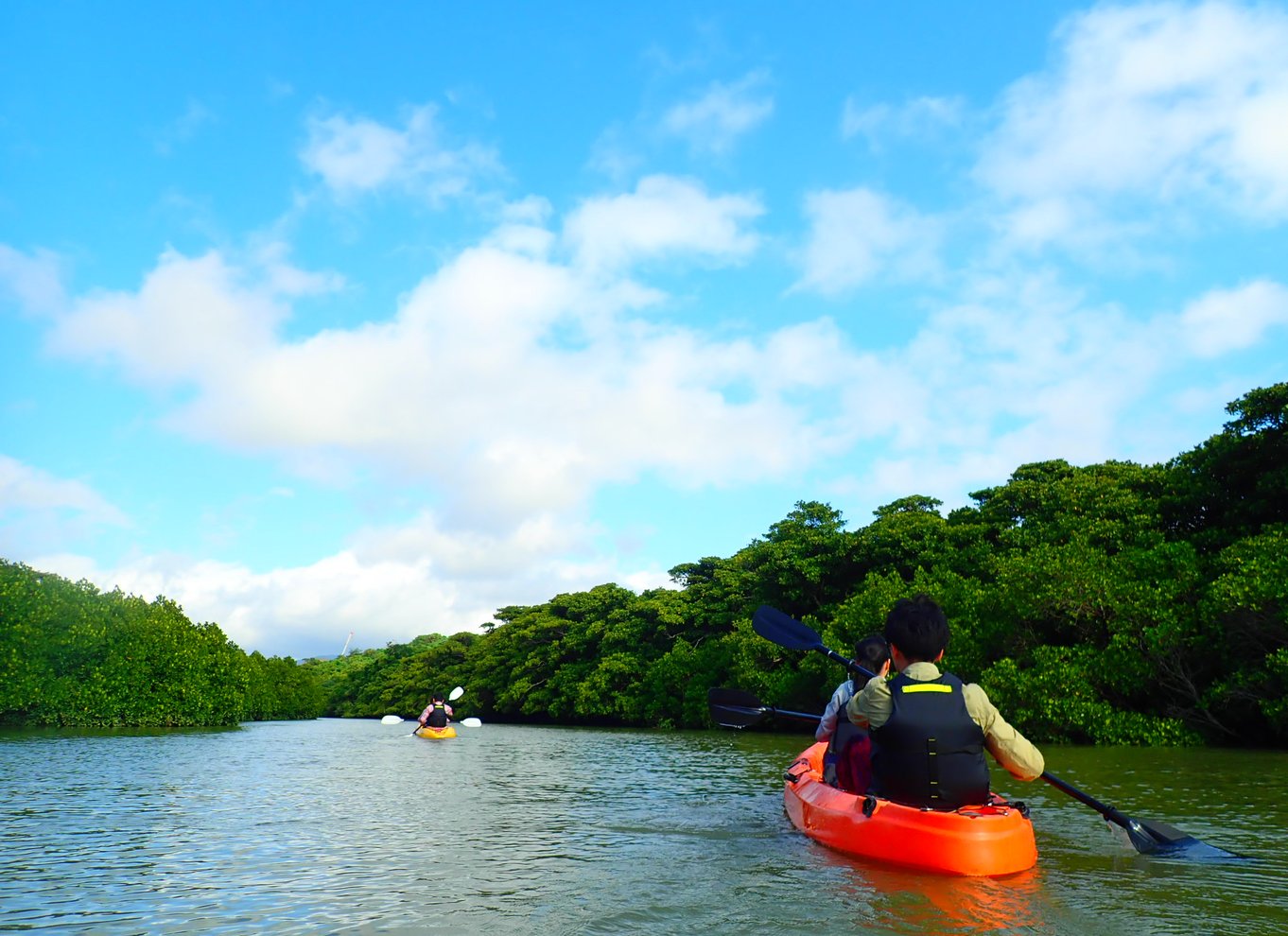 Ishigaki Island: 2-timers kajakroning i Miyara-floden